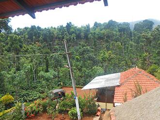 Gandhar cool, Sakleshpur 1